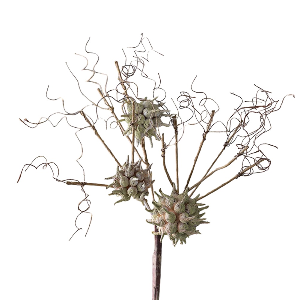 Künstliche Blumen Elegante Liq – Sustainable Living Is Bewertung und Preis