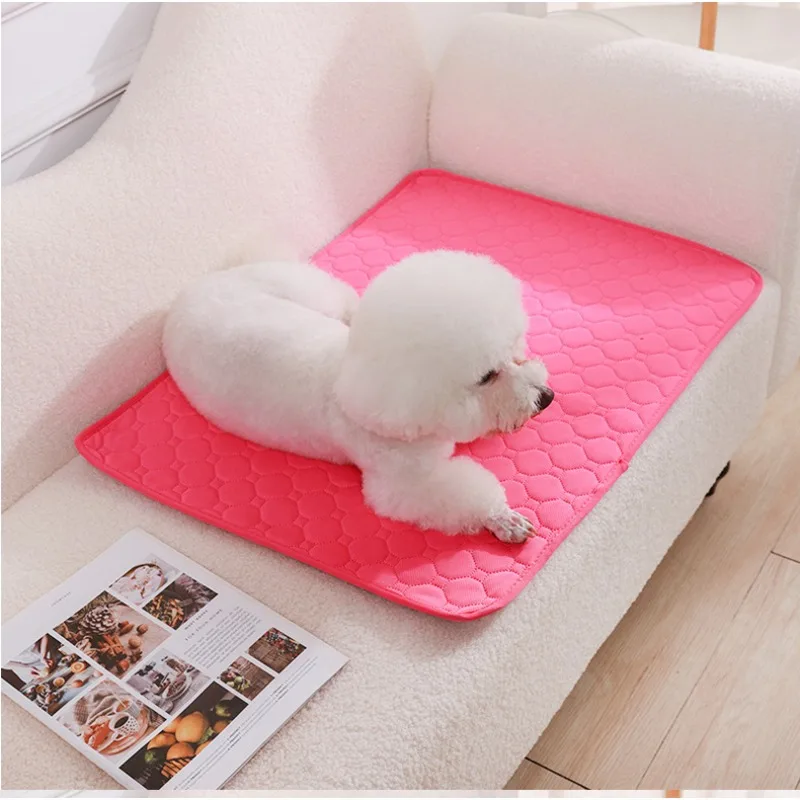 Wiederverwendbare Hundekotmatt – Cloth Pad Reusable Bewertung und Preis